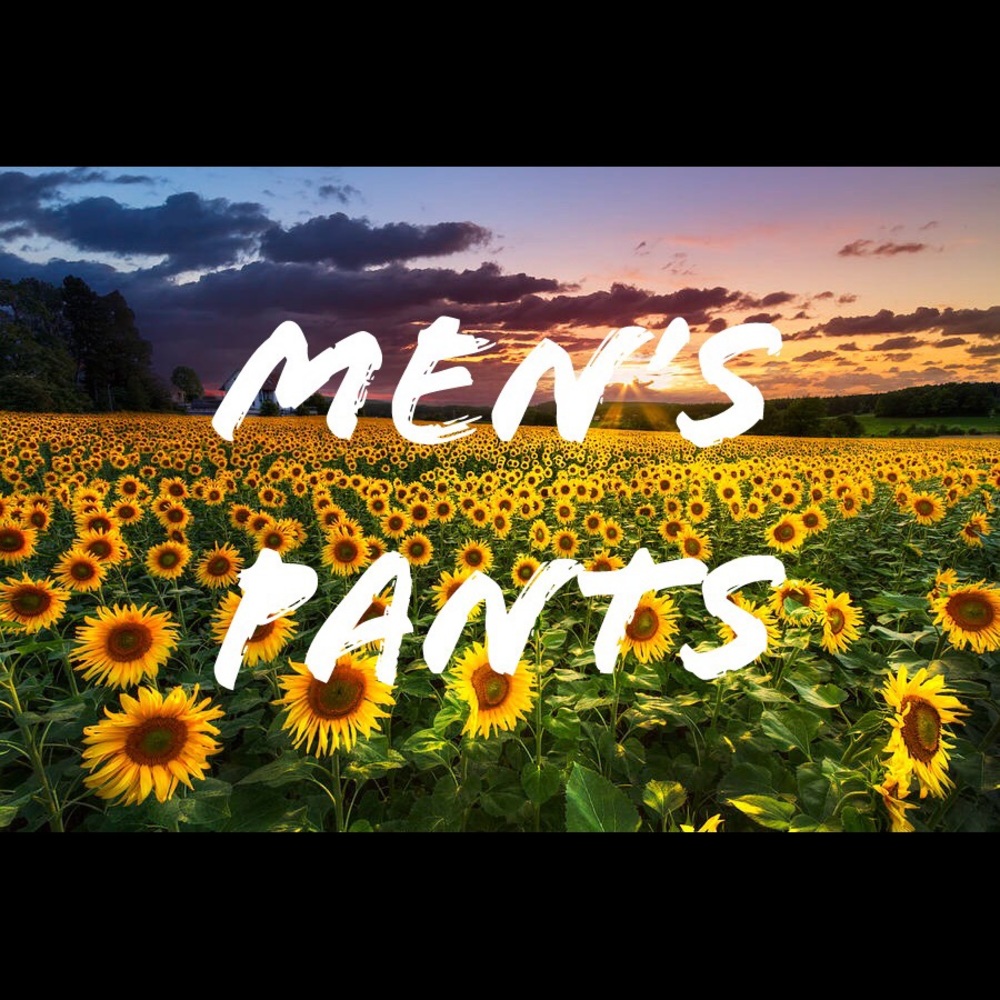 Mens shorts/pants